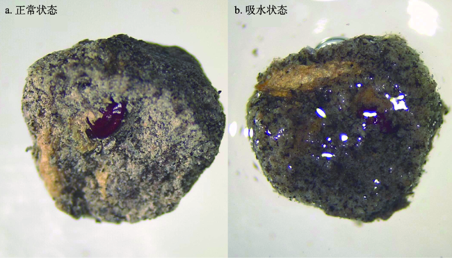 suu 中国人群2型糖尿病影响因素的Meta分析